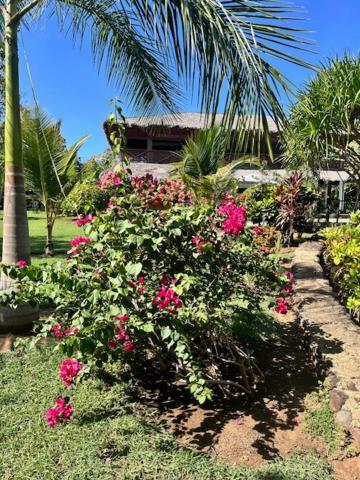 Villa Milena Nosy-Be Екстериор снимка